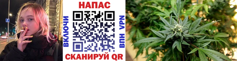 Марихуана SATIVA & INDICA  Купить  Великий Новгород 